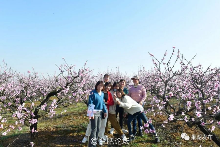 微信图片_20230320135309.jpg