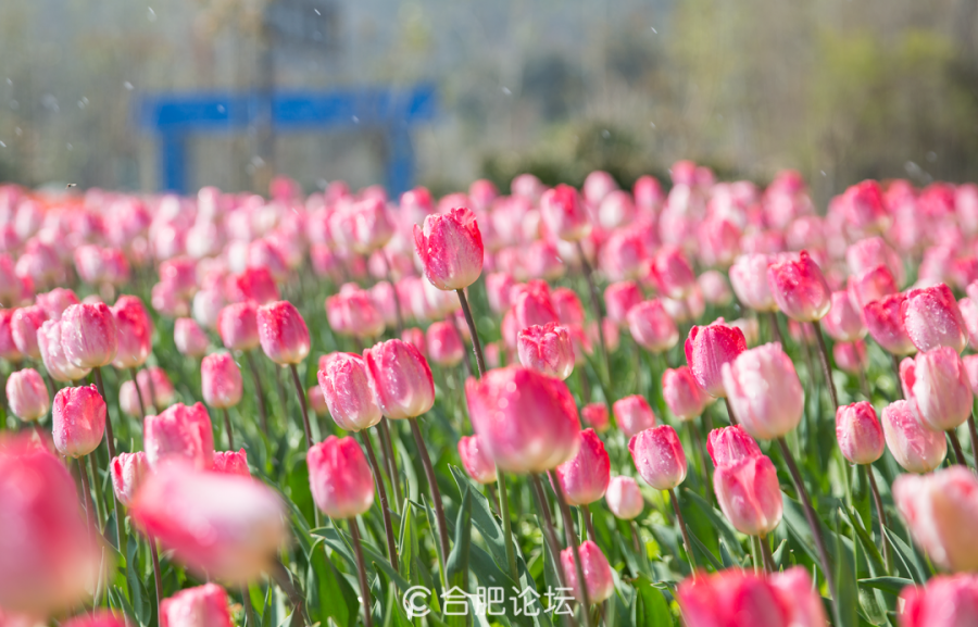 中信银行出国金融：25年温暖陪伴 累计为2200万用户提供一站式出国服务
