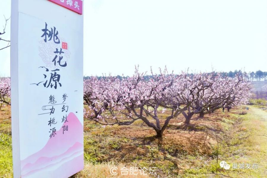 微信图片_20230320135304.jpg