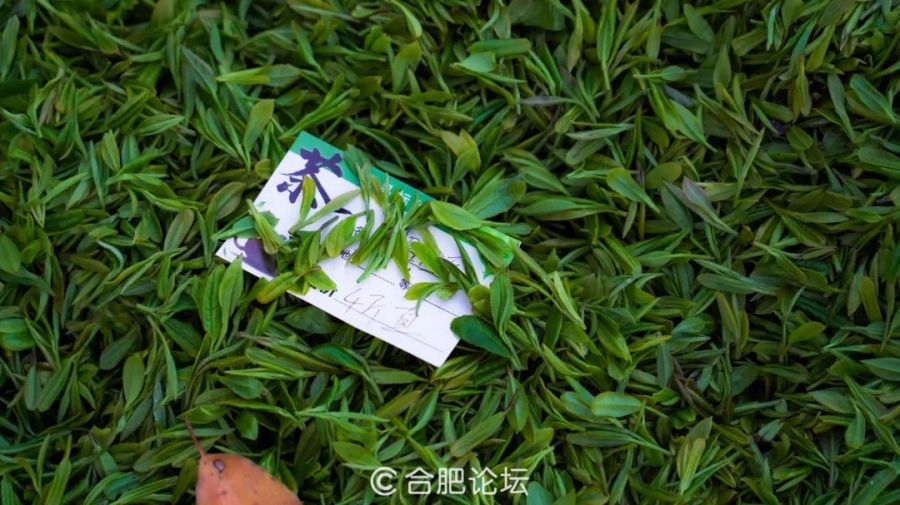 微信图片_20230427161746.jpg