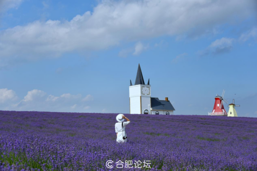 微信图片_20230430172349.png
