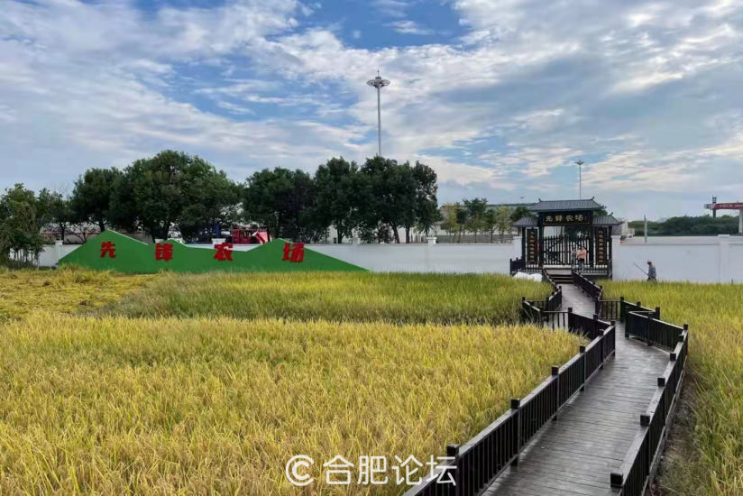 微信图片_20230504105703.png