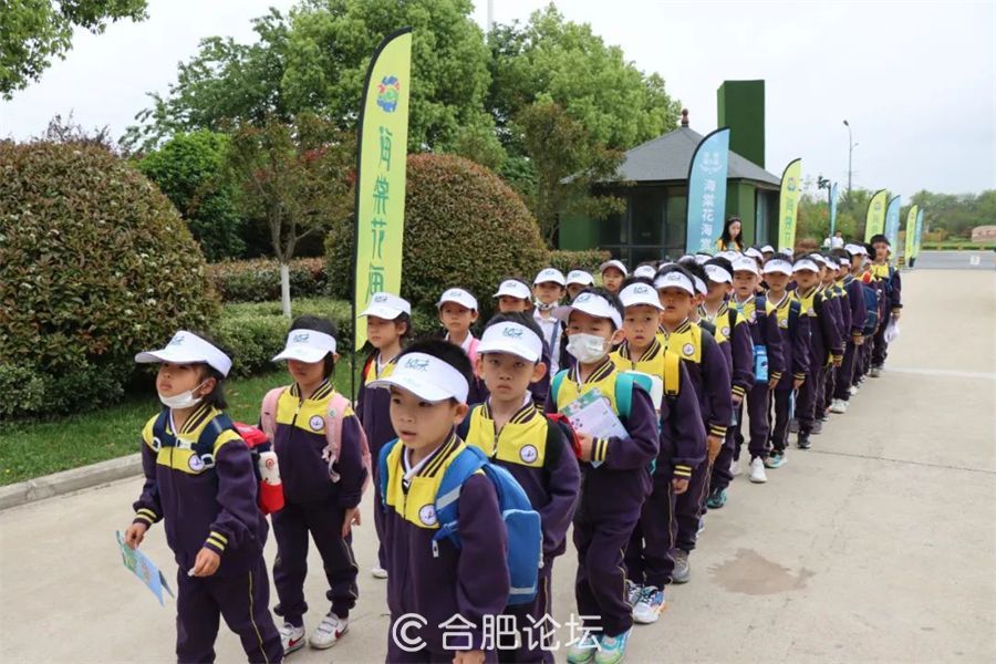 合肥高新火炬小学：火炬学子抓住春天尾巴的n种方式！