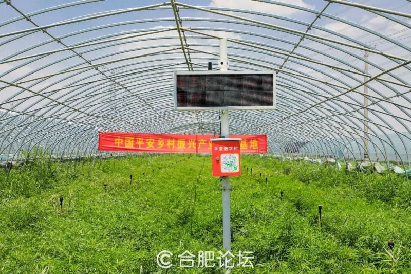 WPS图片6.jpg