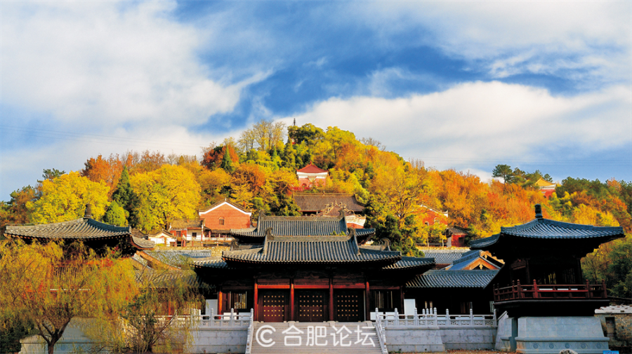 图片8.png