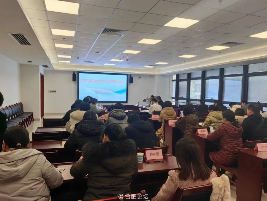 合肥市召开2023年度新生儿安全评审工作会议