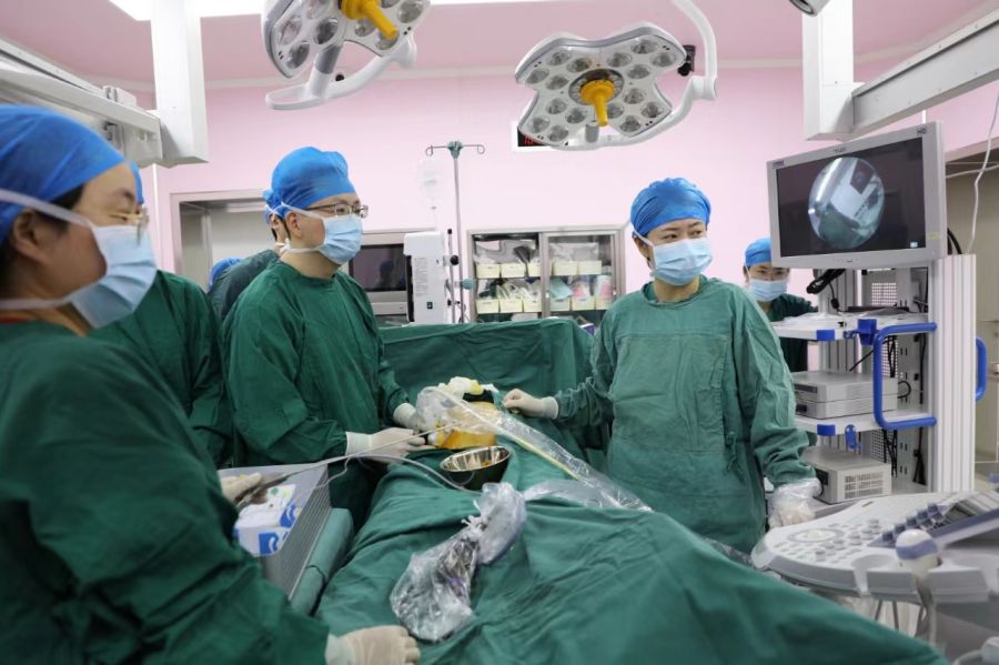 华东地区首例胎儿镜下气管封堵术，治疗领域再获新突破！