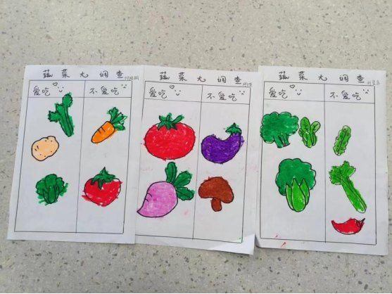 合肥长江路幼儿园教育集团天成分园:衔接好，成长有章(十八)————蔬菜香香