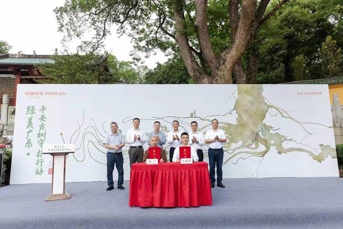 中国平安发布“绿美广东·平安古树守护行动” 为广东古树名木提供超2600万风险保障
