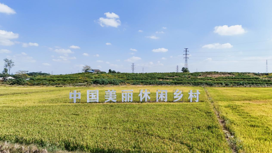 图片 3.png