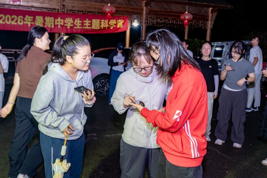 夜间观虫2.jpg