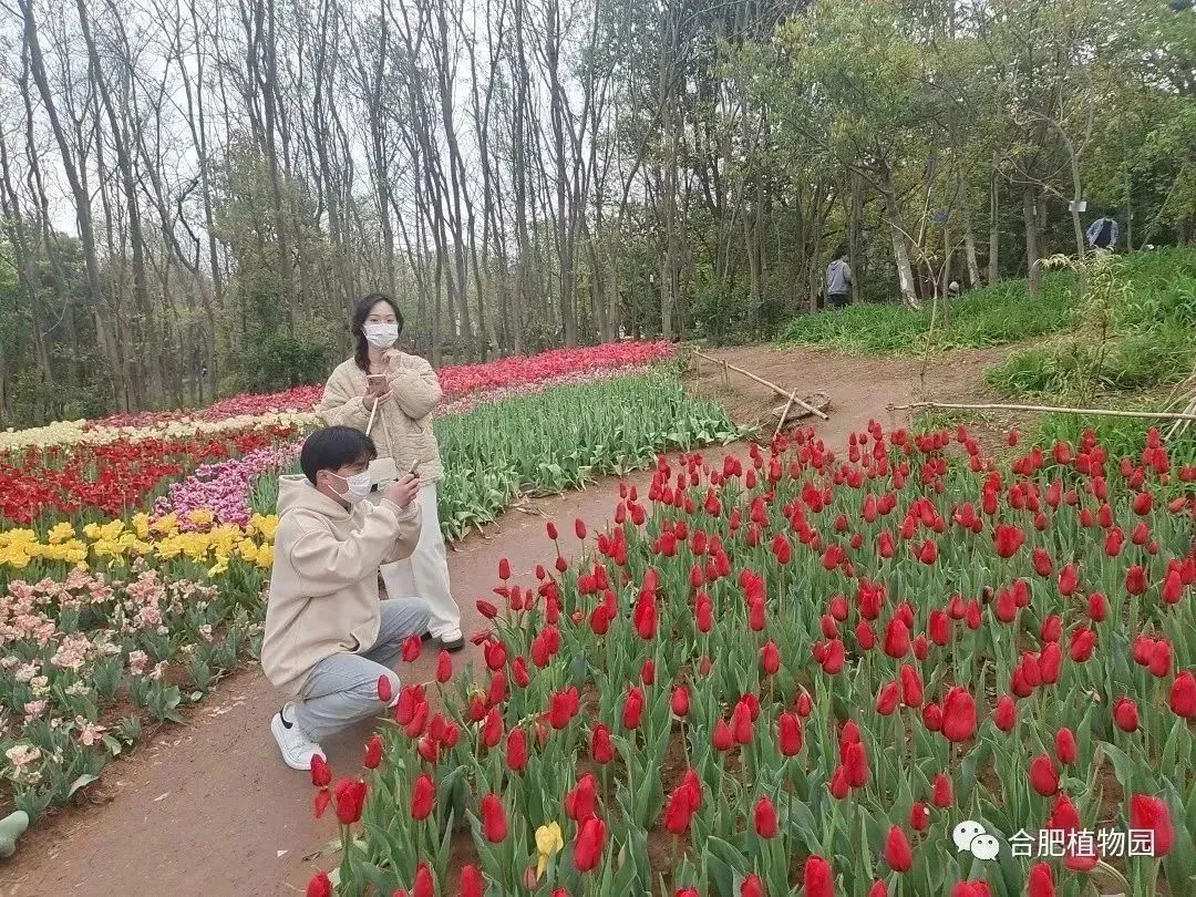 中信银行合肥分行落地辖内首笔普惠金融“银税e贷”（供应链模式）项目
