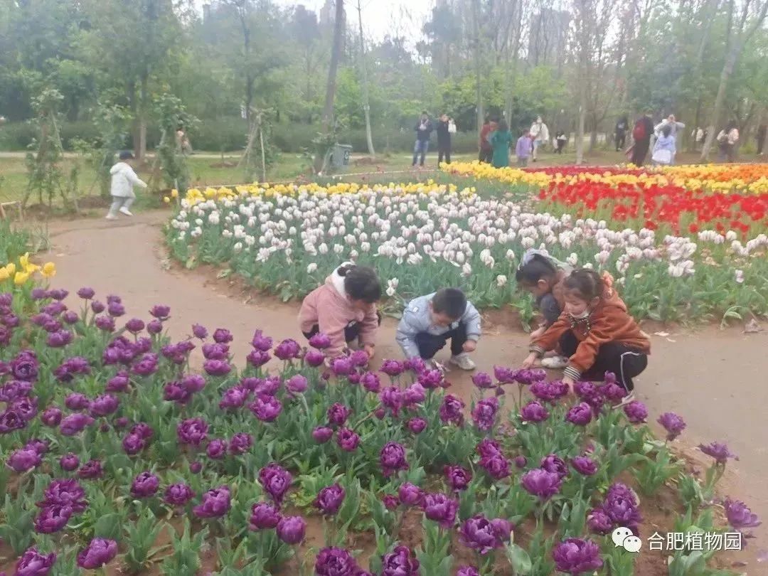 工行肥西桃花支行成功堵截电信诈骗获客户锦旗感谢