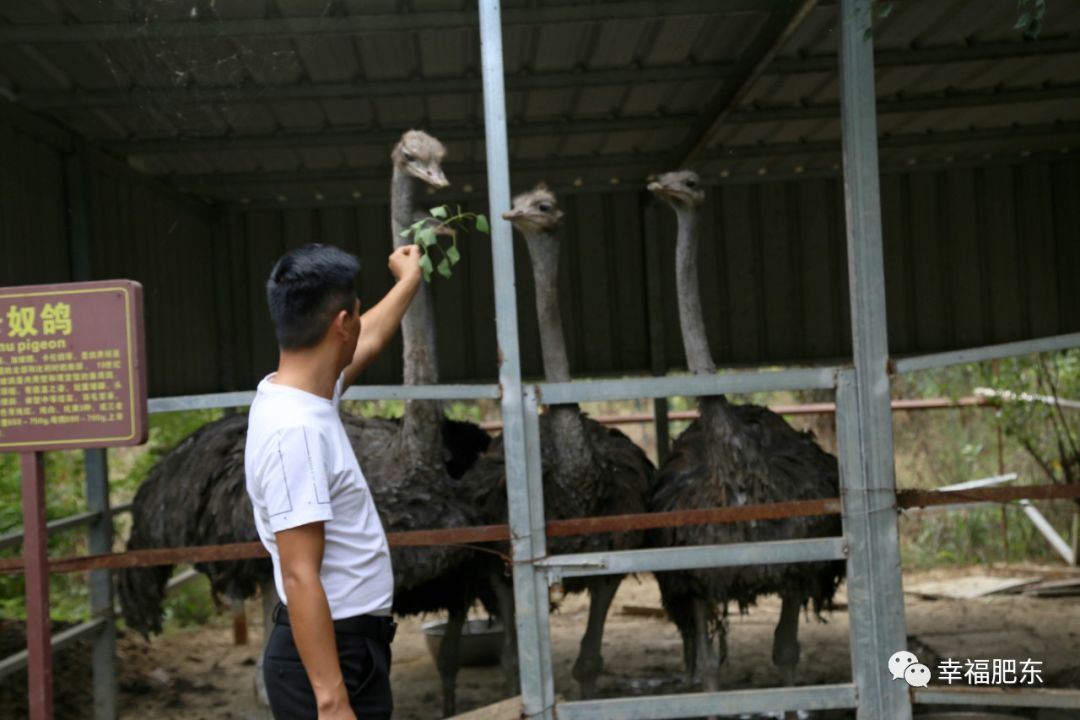布地氮氧准门发货车化物 厦柴油方标检测快速