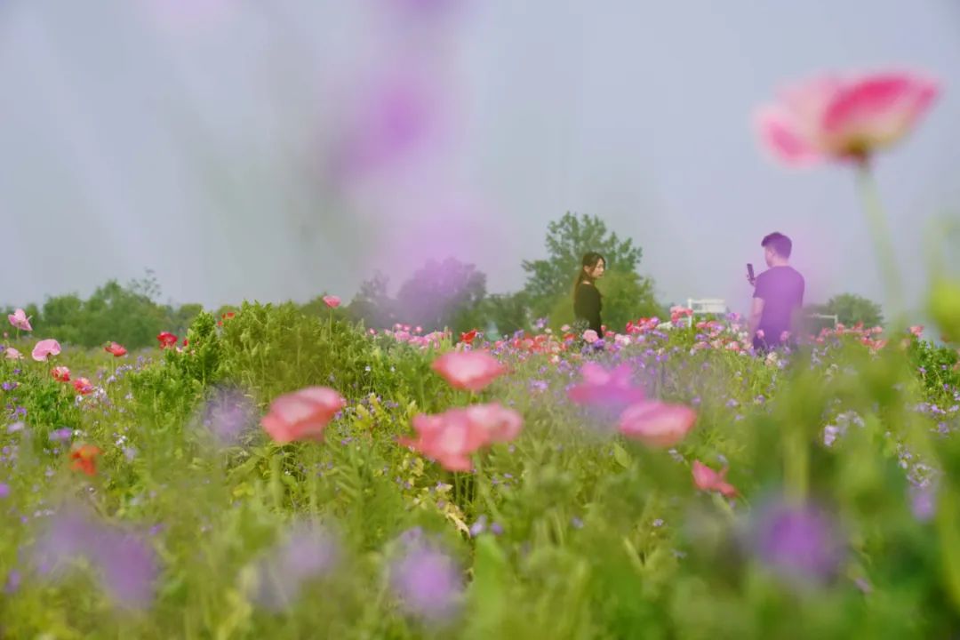 Ǽ֧óϷʻ¼ҵҵҵױ